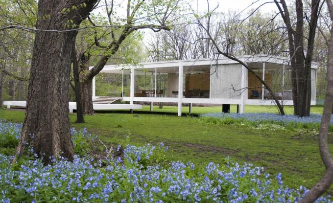 en berättelse glas sidor hus upp från marken på bryggor i lantliga miljö mitt i träd och blå blommor