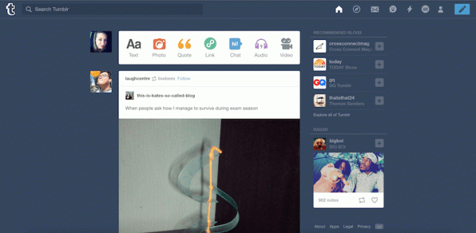 Skärmdump av Tumblr Dashboard