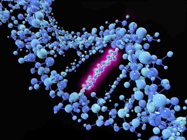 En punktmutation är en genetisk mutation där en enda nukleotidbas ändras, infogas eller raderas från en sekvens av DNA eller RNA.