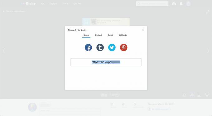 Delnings-URL: en på Flickr