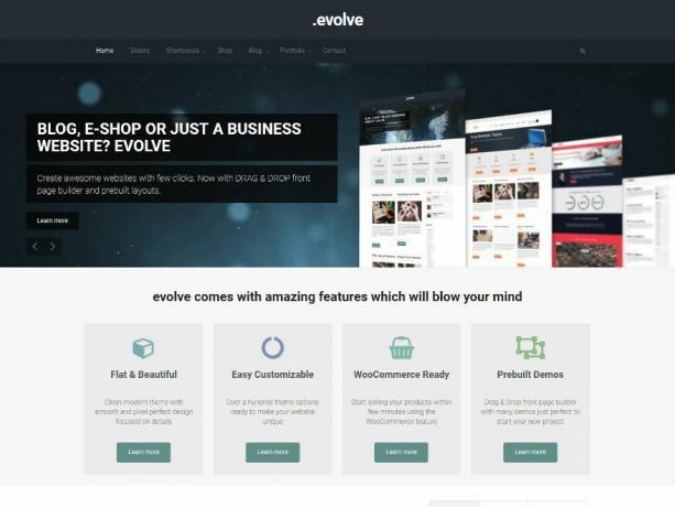 Evolve WordPress-temat