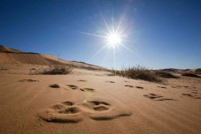 Sanddyner mot blå himmel och ljus sol