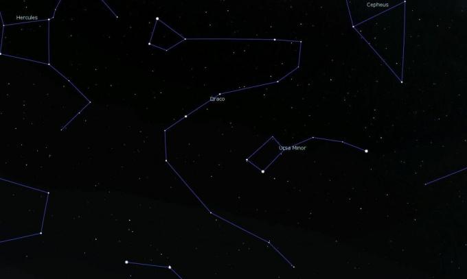 Constellation Draco