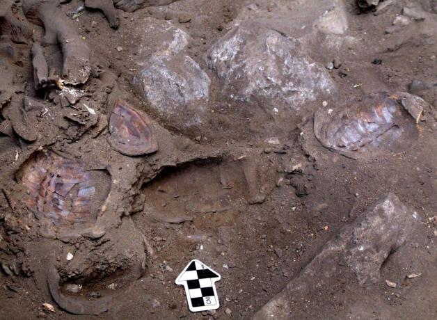 Israeliska arkeologer upptäcker She-Shaman Burial