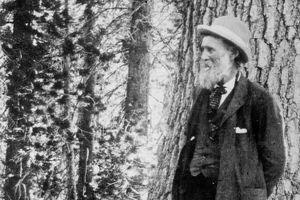 Fotografi av John Muir i skogen