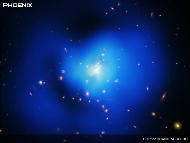 Phoenix Cluster of Galaxies