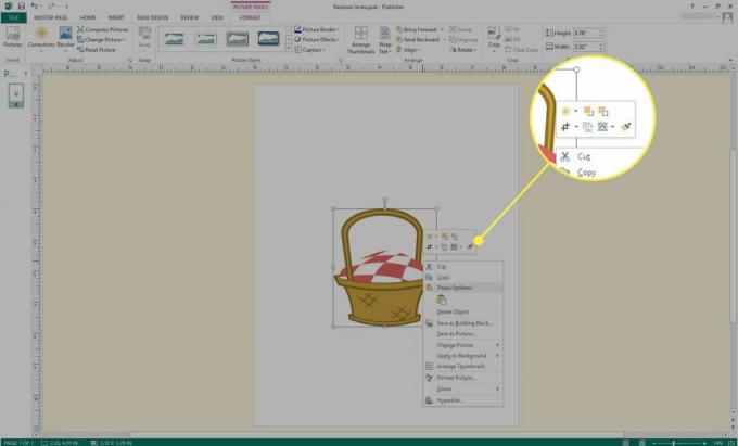 En skärmdump av Microsoft Publisher med bildalternativen markerade