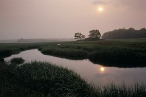 djurliv natur inställning