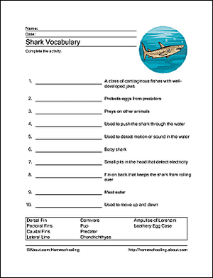 Shark Vocabulary Sheet
