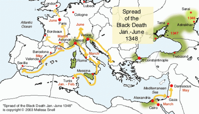 Spridning av svart döden Jan.-juni 1348 En snabb strejk