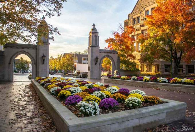 Älska min skola, särskilt på hösten - Indiana University Of Bloomington