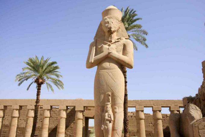 Stenstaty av Ramses II i gårdens ruiner