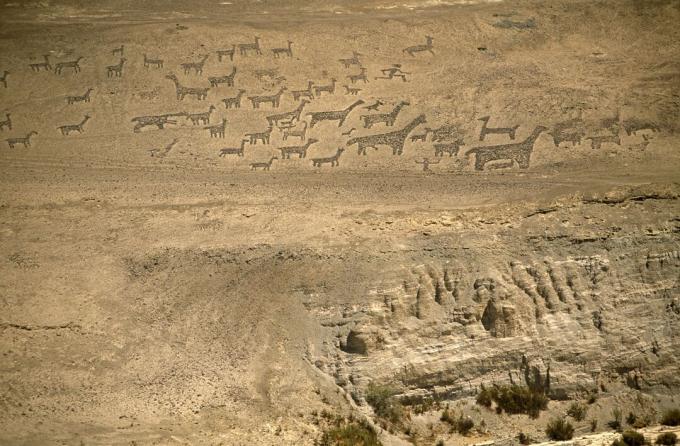 Chile, Region I, Tiliviche. Geoglyfer på en bergssida nära Tiliviche, norra Chile - representationer av lamaer och alpakkaer