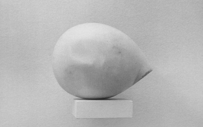 Constantin Brancusi chef för Prometheus