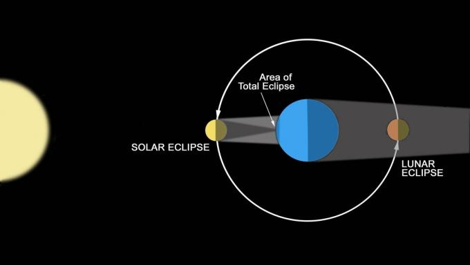 Ett diagram som illustrerar hur förmörkelser skapas.