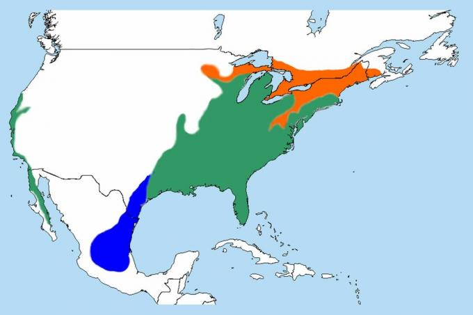 Red-shouldered hawk distribution