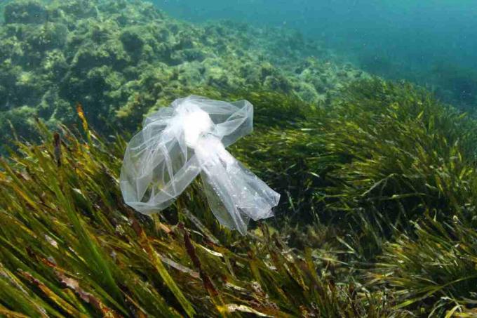 Plastpåse till sjöss. Dessa kan vara farliga för havssköldpaddor som misstar dem för mat, som maneter.