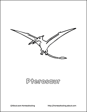 Pterosaurs: Flying Reptiles