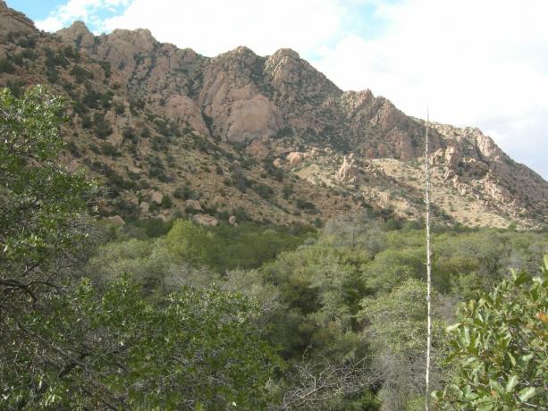 Cochises östra fäste, Dragoon Mountains, sydöstra Arizona.