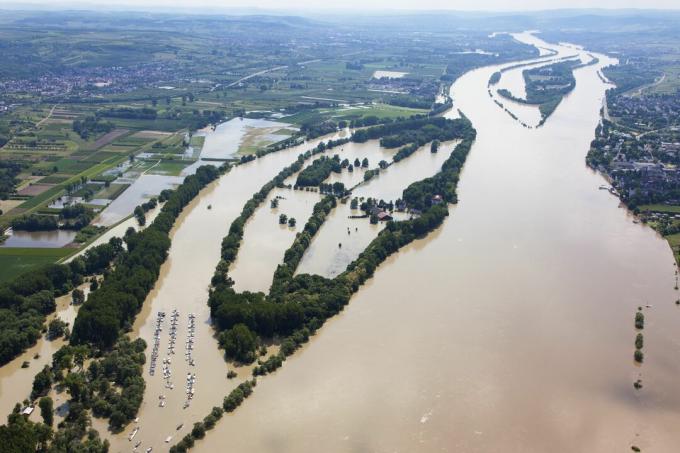 Tyskland, Hesse, Eltville, översvämningar av floden Rhenön Koenigskling Aue, flygfoto